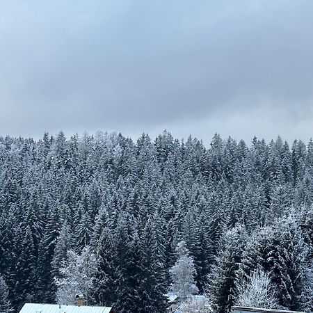 Penzion Verde Rosa Harrachov Eksteriør bilde