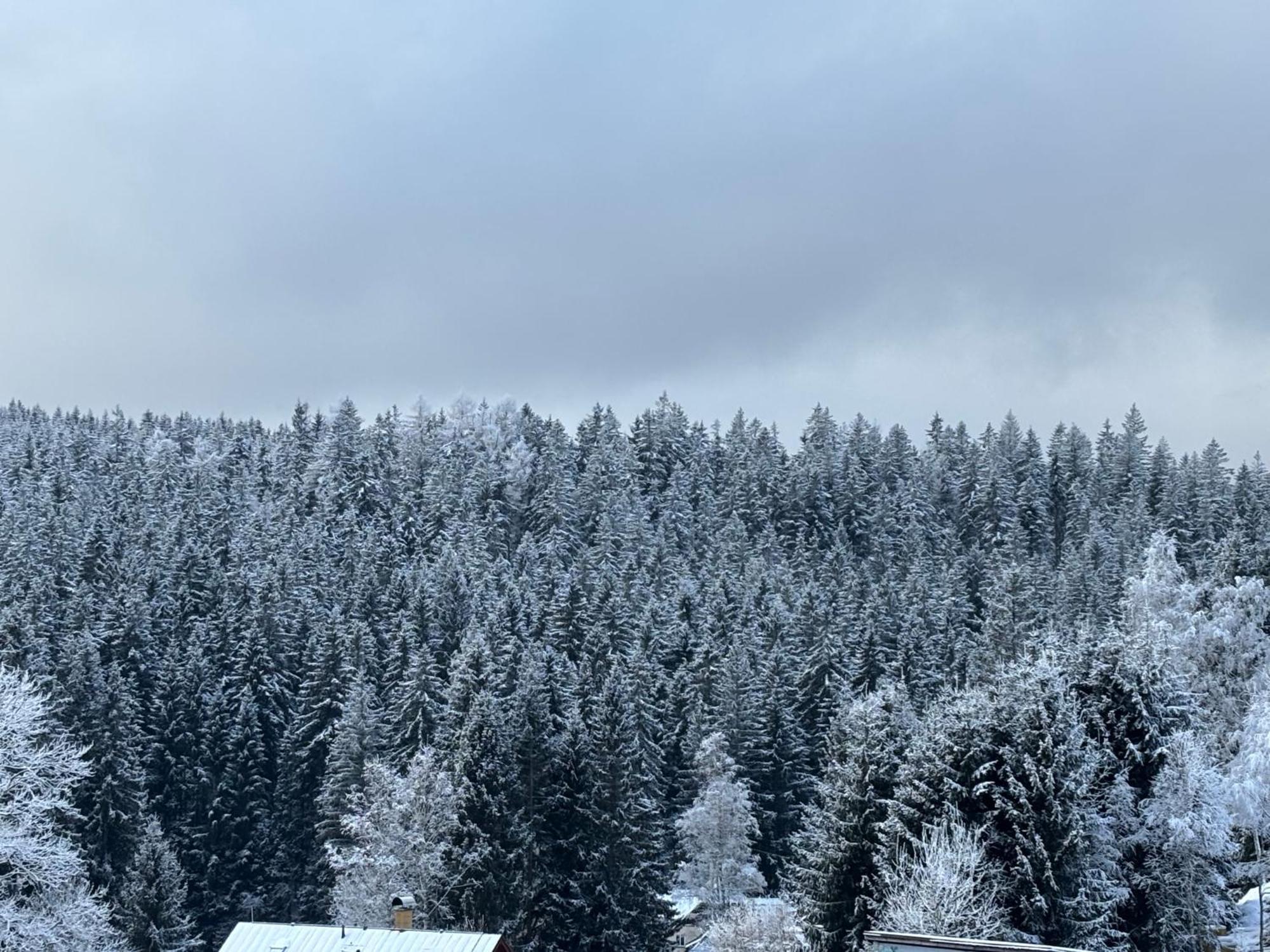 Penzion Verde Rosa Harrachov Eksteriør bilde