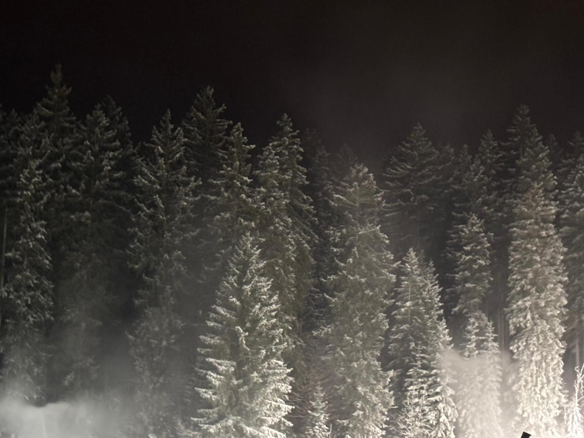Penzion Verde Rosa Harrachov Eksteriør bilde