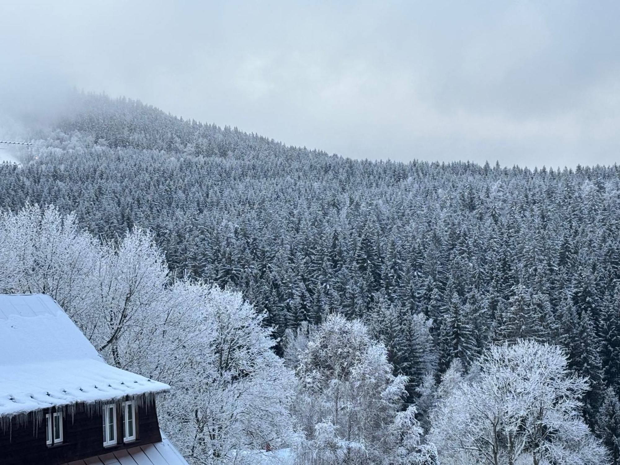 Penzion Verde Rosa Harrachov Eksteriør bilde